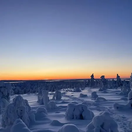 Grooppi, Live In Style In The Middle Of Lapland Yllaes,