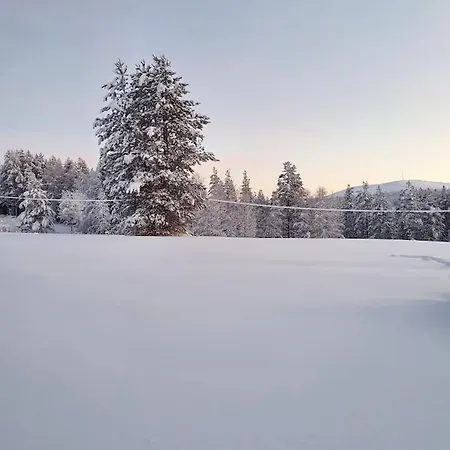 Villa Grooppi, Live In Style In The Middle Of Lapland Yllaes, *