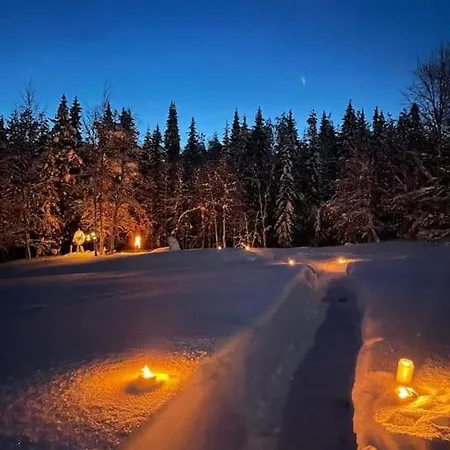 Villa Grooppi, Live In Style In The Middle Of Lapland Yllaes, *
