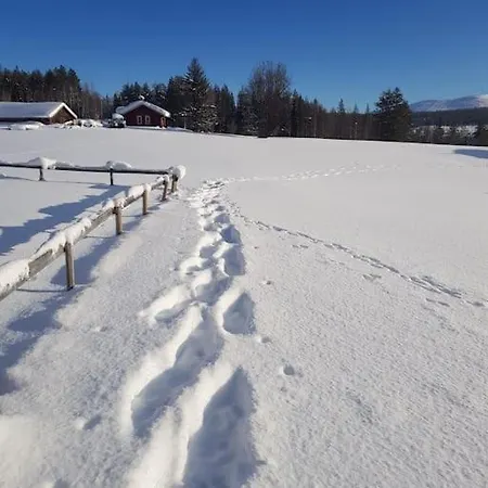 Grooppi, Live In Style In The Middle Of Lapland Yllaes, Villa