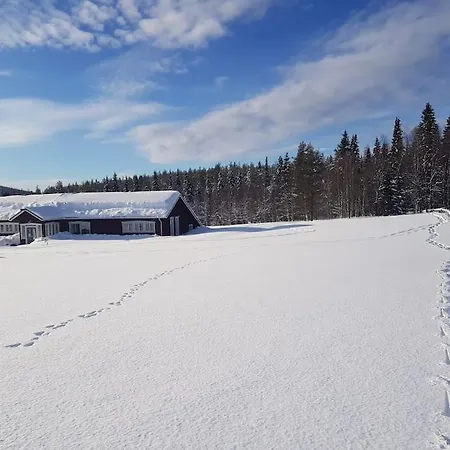Huvilat Grooppi, Live In Style In The Middle Of Lapland Yllaes, *