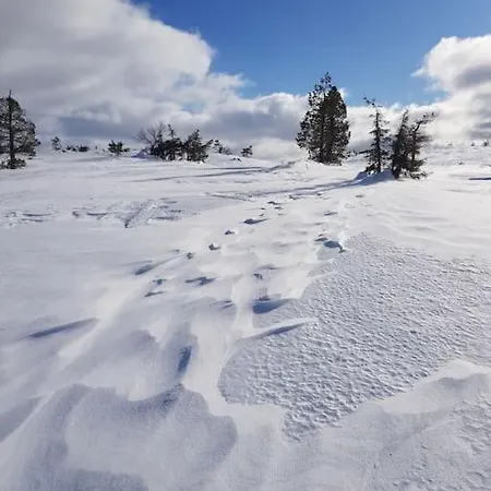Villa Grooppi, Live In Style In The Middle Of Lapland Yllaes, Akaslompolo