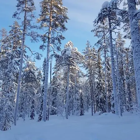 Grooppi, Live In Style In The Middle Of Lapland Yllaes, Villa Akaslompolo