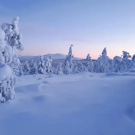 Grooppi, Live In Style In The Middle Of Lapland Yllaes, * Akaslompolo