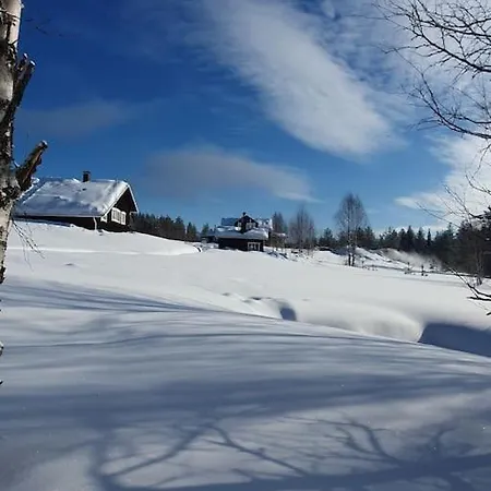 Grooppi, Live In Style In The Middle Of Lapland Yllaes,